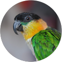 Marina Kraus profile picture